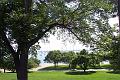 Chicago 061